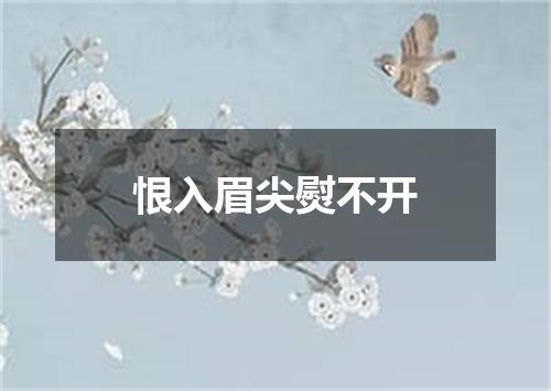 恨入眉尖熨不开