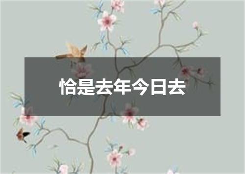 恰是去年今日去