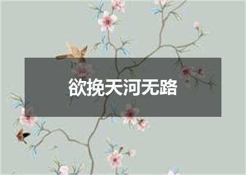 欲挽天河无路