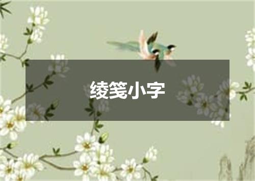 绫笺小字