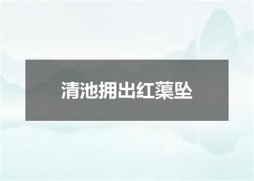 清池拥出红蕖坠