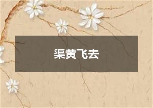 渠黄飞去