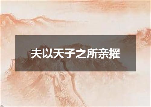 夫以天子之所亲擢