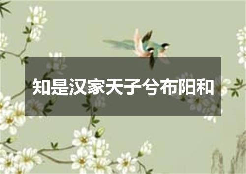 知是汉家天子兮布阳和