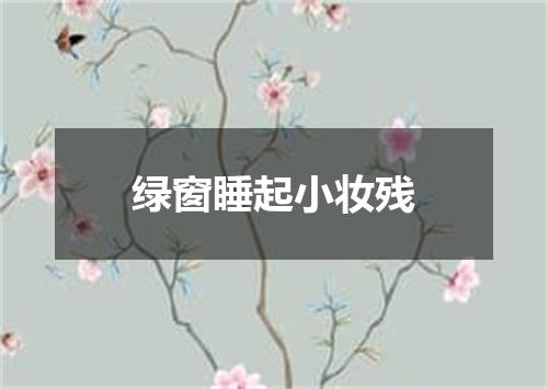 绿窗睡起小妆残