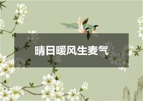 晴日暖风生麦气