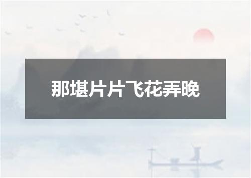 那堪片片飞花弄晚