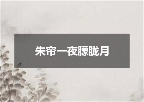 朱帘一夜朦胧月