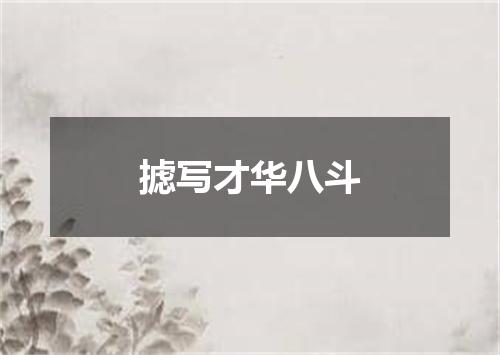 摅写才华八斗