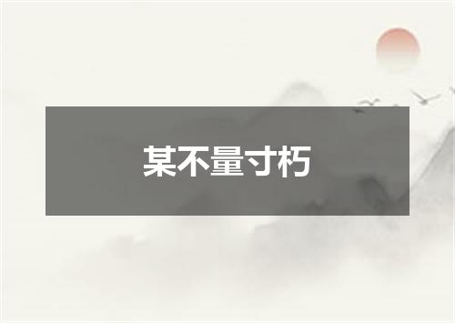 某不量寸朽