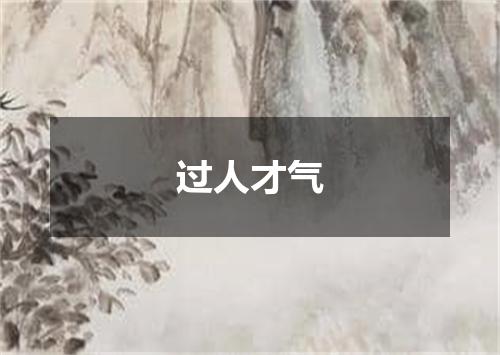 过人才气