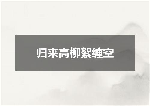 归来高柳絮缠空