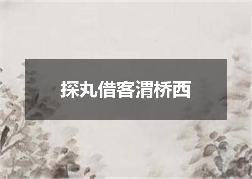 探丸借客渭桥西