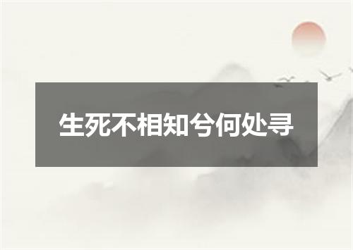 生死不相知兮何处寻