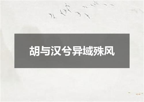 胡与汉兮异域殊风