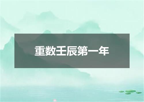 重数壬辰第一年