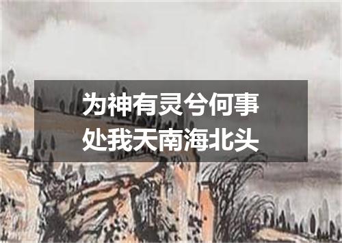 为神有灵兮何事处我天南海北头