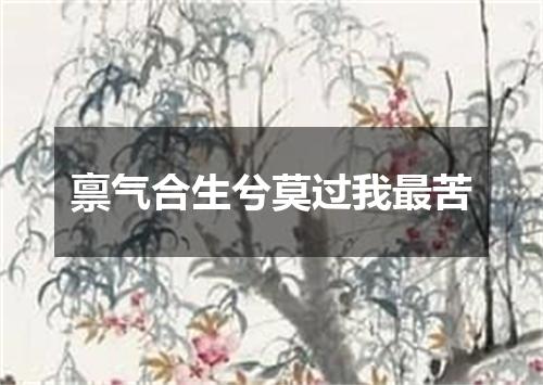 禀气合生兮莫过我最苦