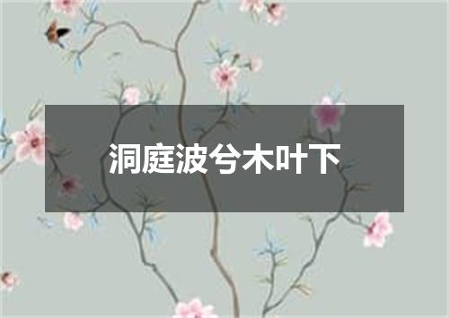 洞庭波兮木叶下