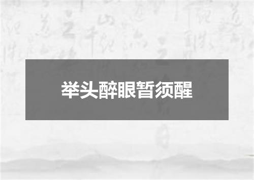 举头醉眼暂须醒