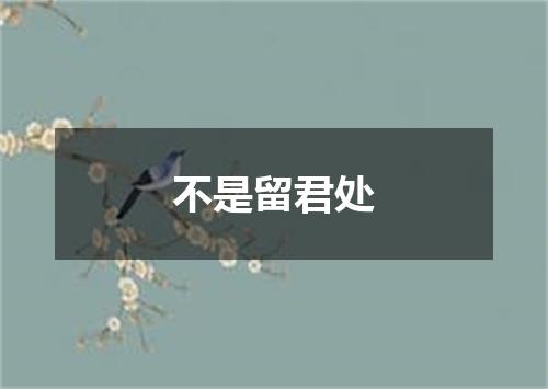 不是留君处