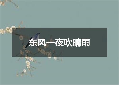 东风一夜吹晴雨