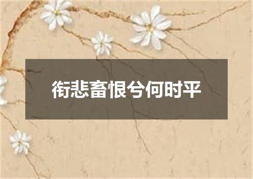 衔悲畜恨兮何时平