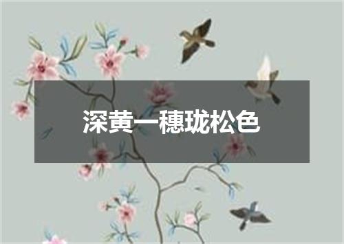 深黄一穗珑松色