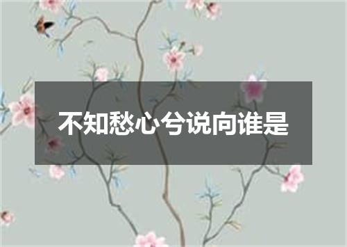 不知愁心兮说向谁是