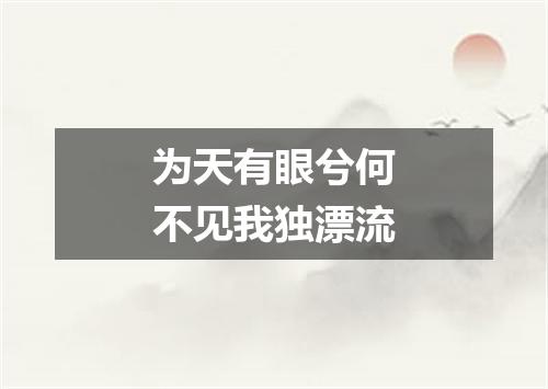 为天有眼兮何不见我独漂流