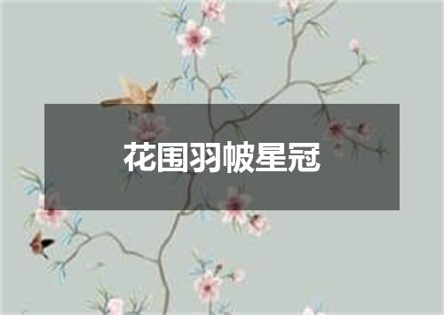 花围羽帔星冠