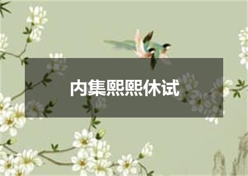 内集熙熙休试