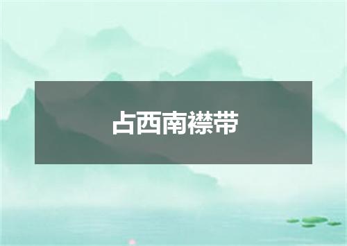 占西南襟带