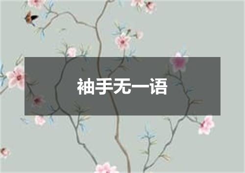 袖手无一语