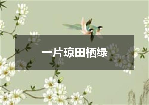 一片琼田栖绿