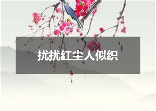 扰扰红尘人似织
