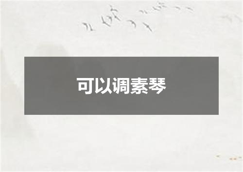可以调素琴
