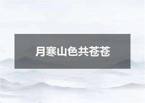 月寒山色共苍苍