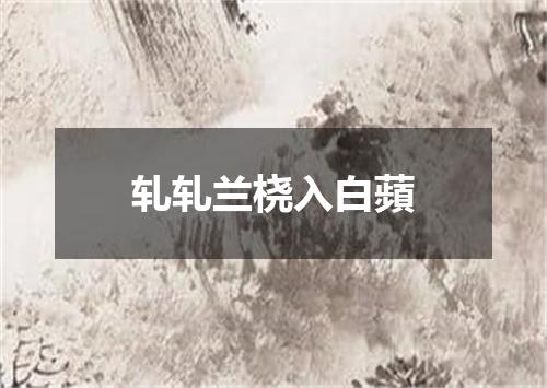 轧轧兰桡入白蘋
