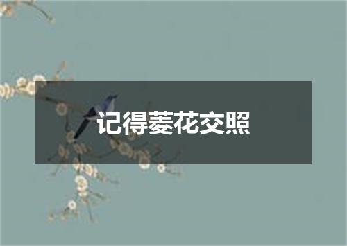 记得菱花交照