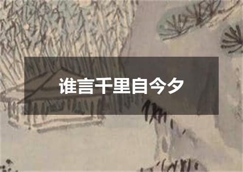 谁言千里自今夕