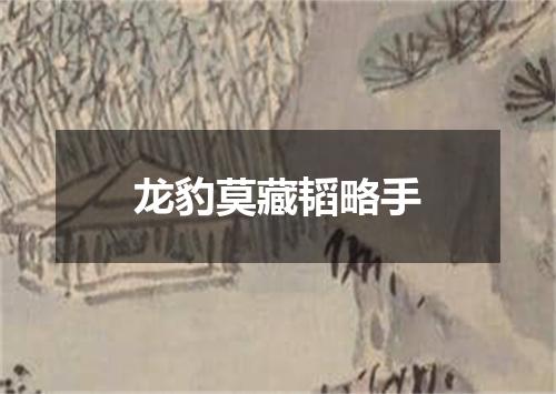 龙豹莫藏韬略手