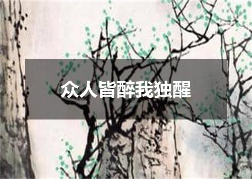 众人皆醉我独醒