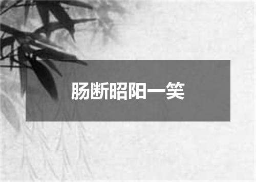肠断昭阳一笑