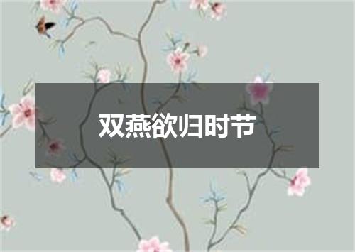 双燕欲归时节