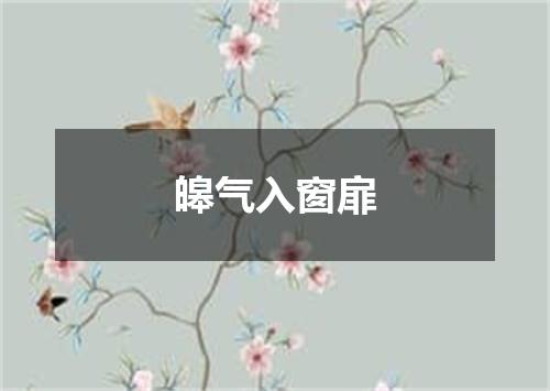 皞气入窗扉