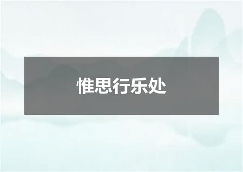 惟思行乐处