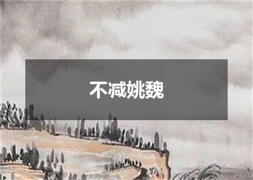 不减姚魏