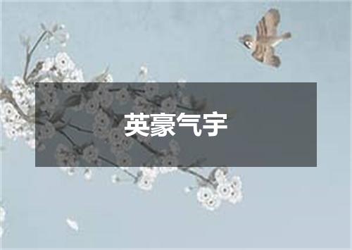 英豪气宇