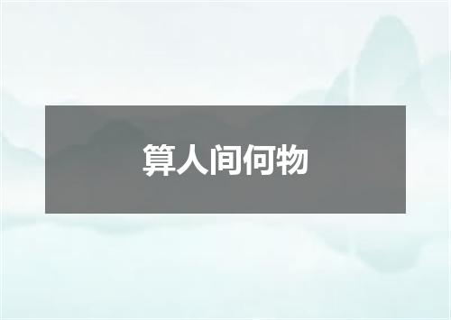 算人间何物